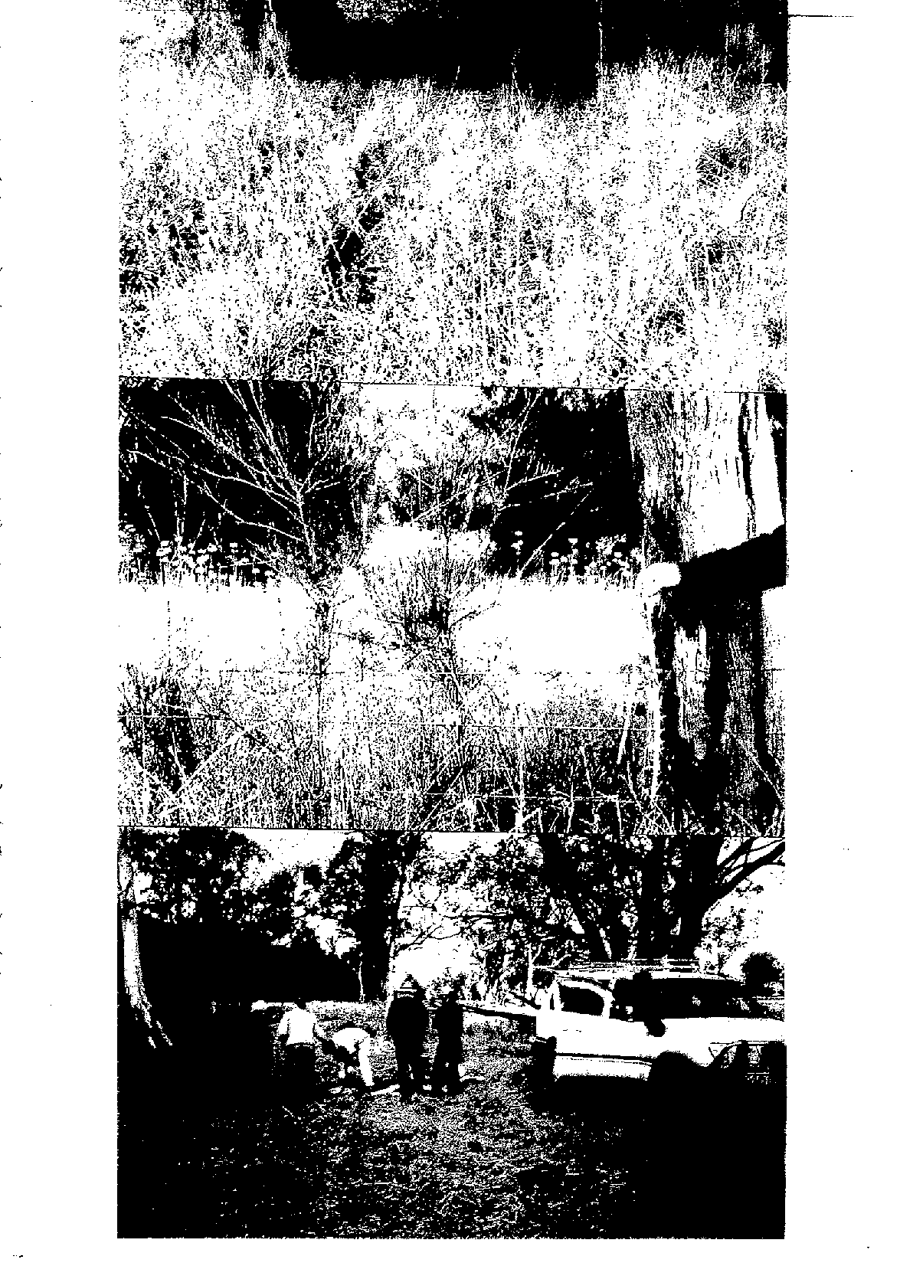 2000 Page 132